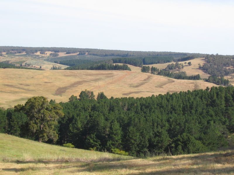 92 Maple View Court, Bridgetown WA 6255