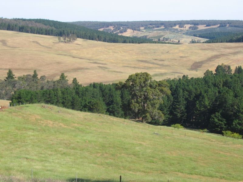 92 Maple View Court, Bridgetown WA 6255