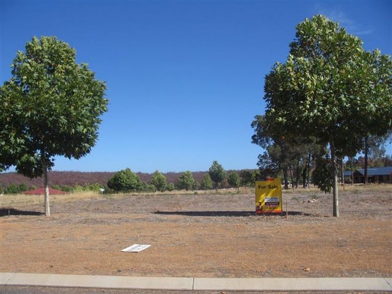 Lot 22 Balmoral Drive, Bridgetown WA 6255