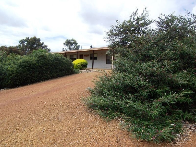 58 Williams Street, Boyup Brook WA 6244