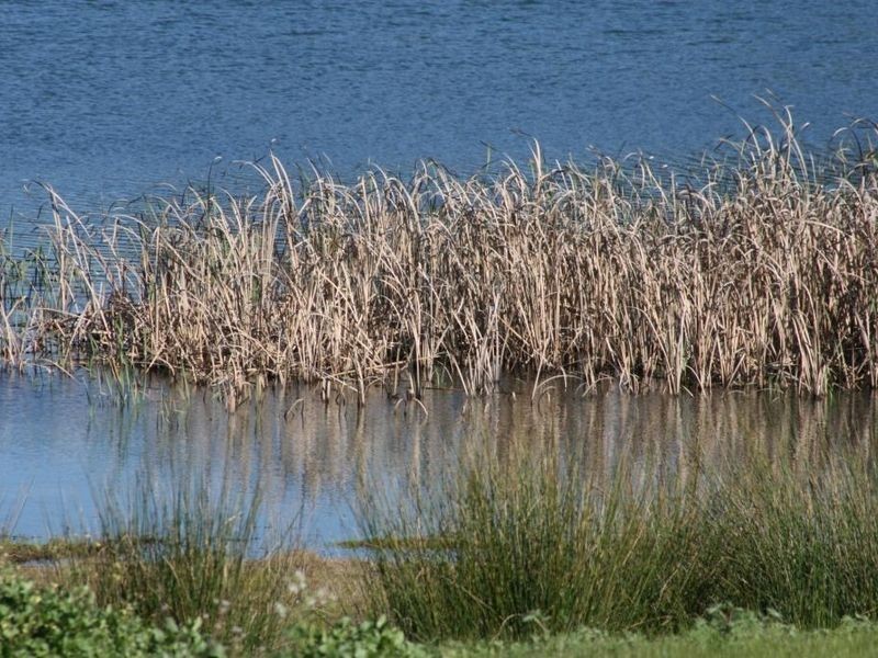 Lot 422 Haig Street, Bridgetown WA 6255