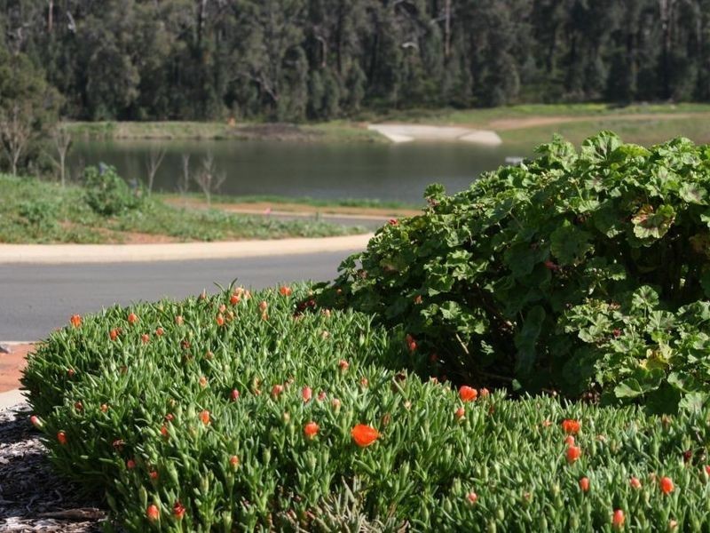 Lot 422 Haig Street, Bridgetown WA 6255