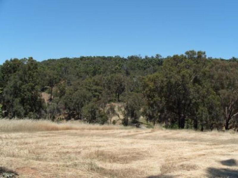 Lot 464 Carnegie Close, Bridgetown WA 6255