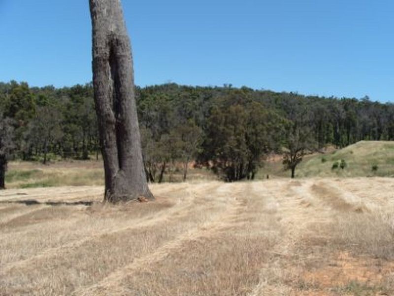 Lot 463 Carnegie Close, Bridgetown WA 6255