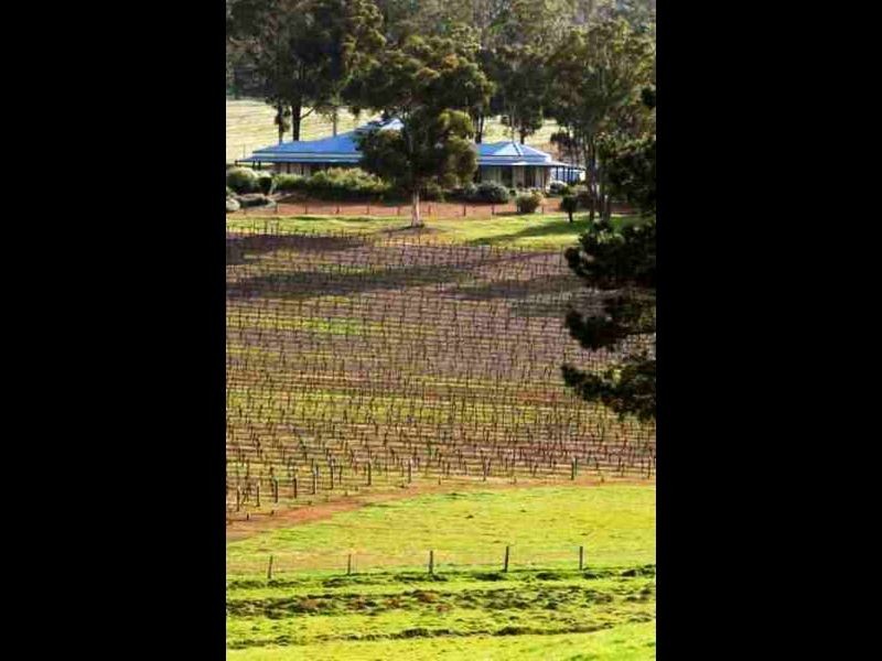 1829 Cranbrook Road, Boyup Brook WA 6244