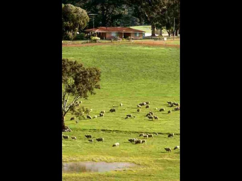 1829 Cranbrook Road, Boyup Brook WA 6244