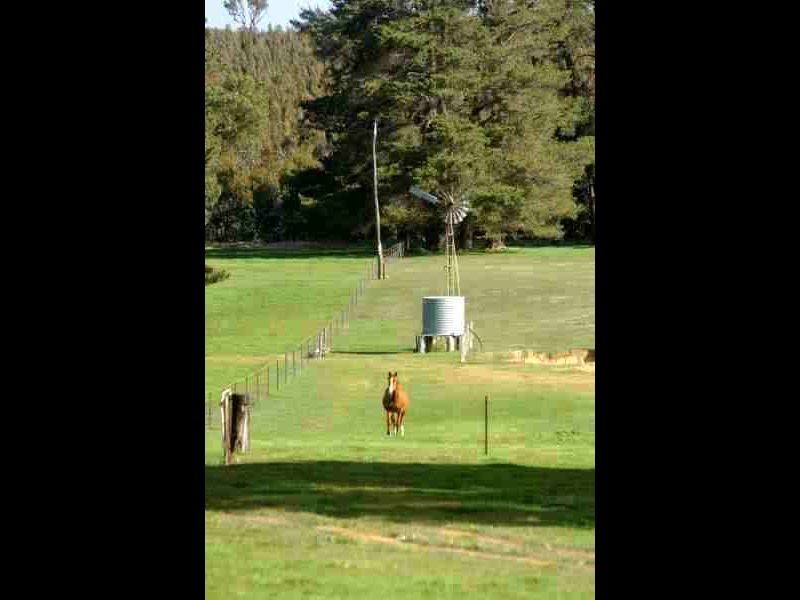 1829 Cranbrook Road, Boyup Brook WA 6244