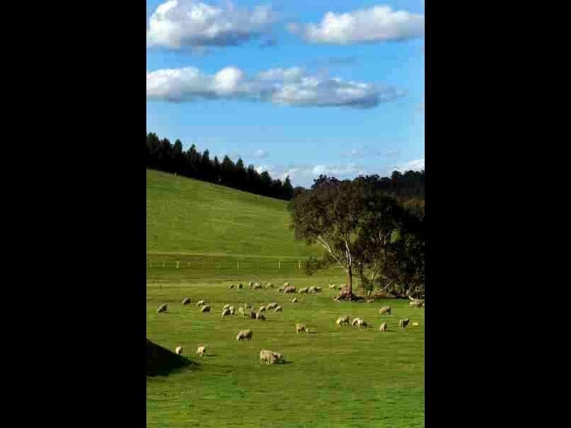 1829 Cranbrook Road, Boyup Brook WA 6244