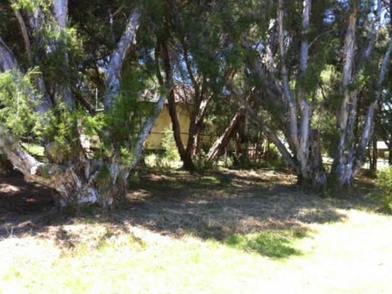 41 Forrest Street, Bridgetown WA 6255