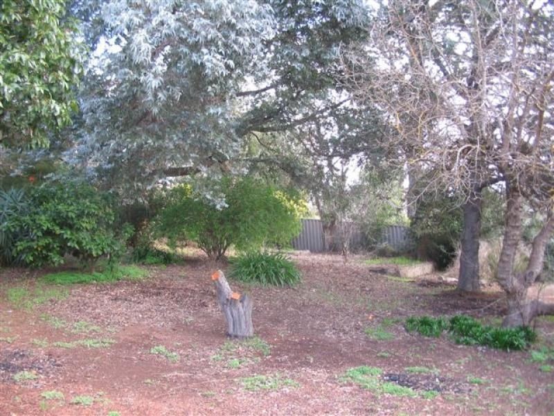 3 Barlee Street, Bridgetown WA 6255