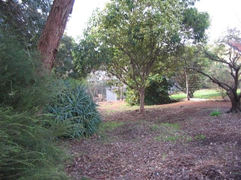 3 Barlee Street, Bridgetown WA 6255