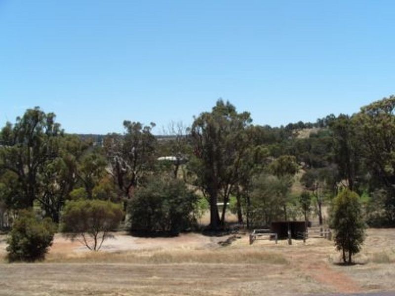 19 Cleopatra Cresent, Bridgetown WA 6255