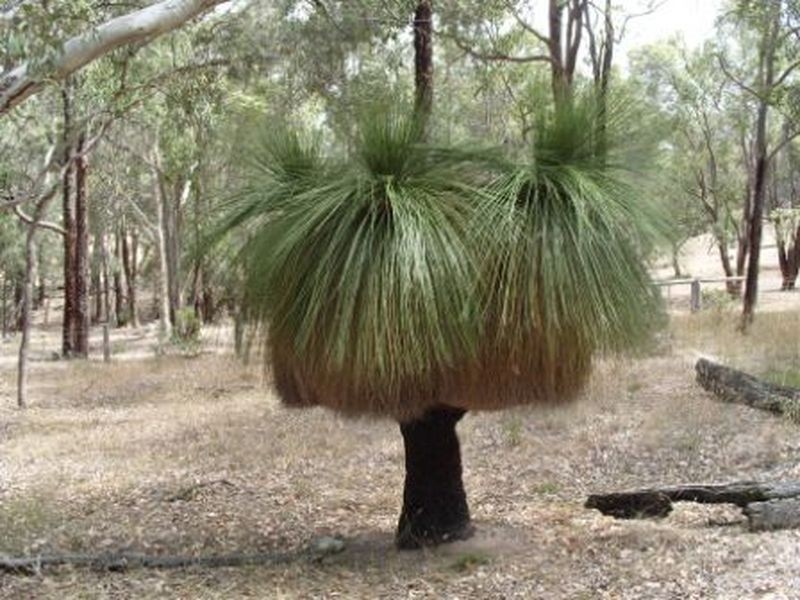 Lot 211 Ridgeview Avenue, Boyup Brook WA 6244