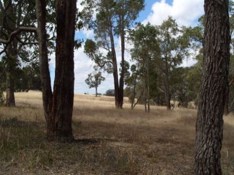 Lot 211 Ridgeview Avenue, Boyup Brook WA 6244