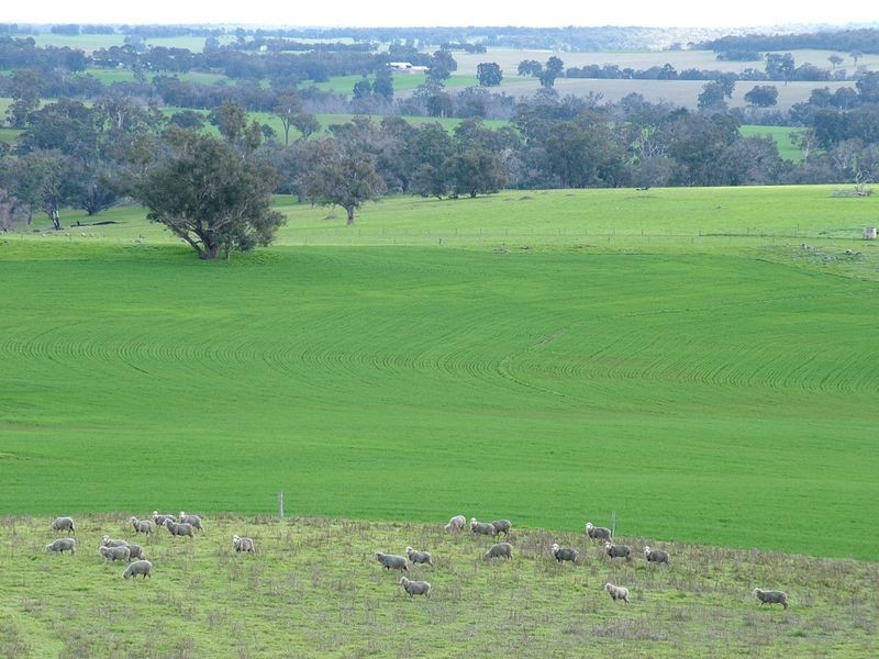 Lot 7 Dinninup East Road, Boyup Brook WA 6244