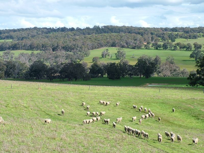 Lot 7 Dinninup East Road, Boyup Brook WA 6244