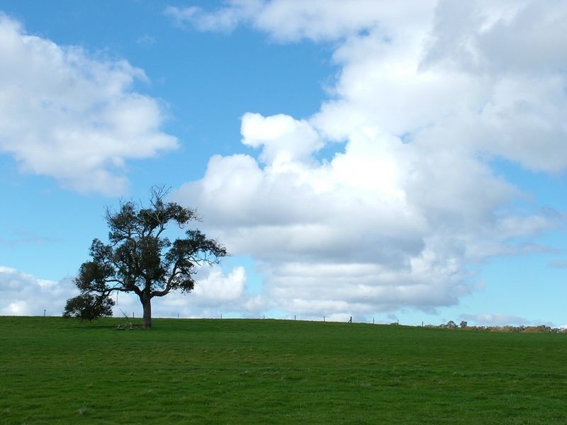 Lot 7 Dinninup East Road, Boyup Brook WA 6244