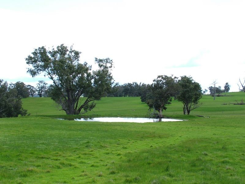 Lot 7 Dinninup East Road, Boyup Brook WA 6244