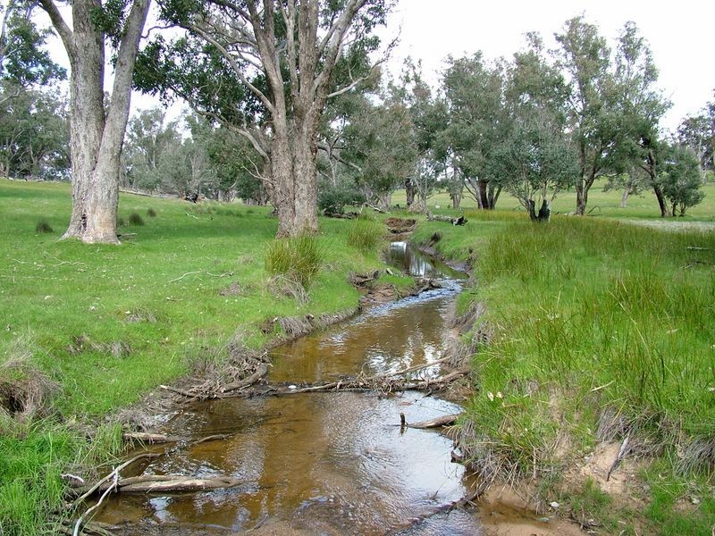 Lot 7 Dinninup East Road, Boyup Brook WA 6244