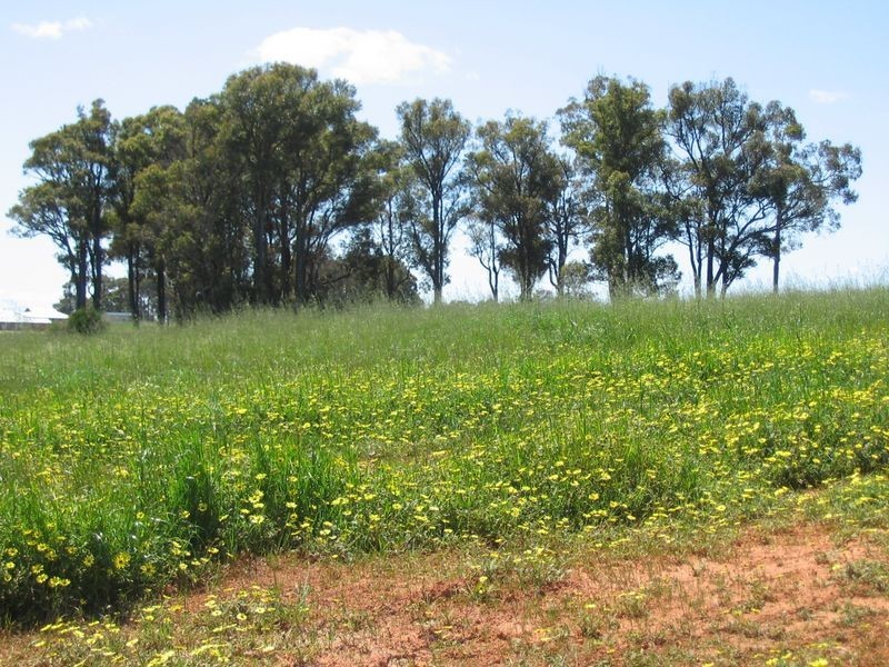 Lot 267 Balmoral Drive, Bridgetown WA 6255