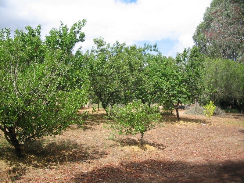 Lot 1 Watersford Road, Bridgetown WA 6255