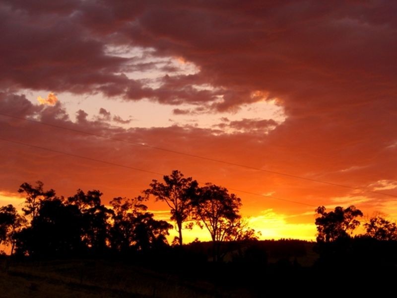 166 Mitchell Street, Balingup WA 6253