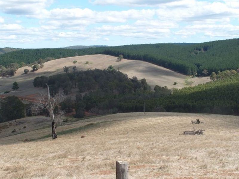 124 Southampton Road, Balingup WA 6253