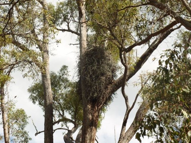 124 Southampton Road, Balingup WA 6253