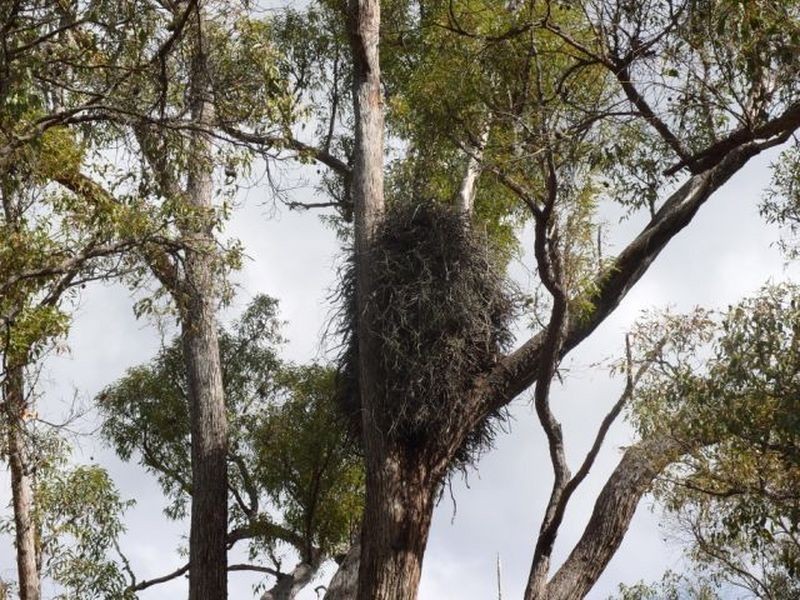 124 Southampton Road, Balingup WA 6253