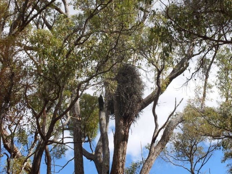 124 Southampton Road, Balingup WA 6253