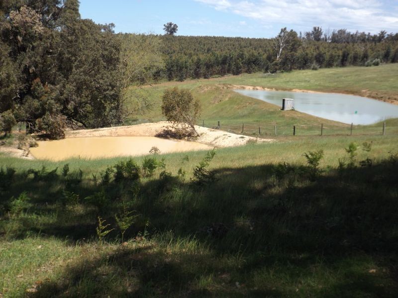 48 Flintoff Road, Bridgetown WA 6255