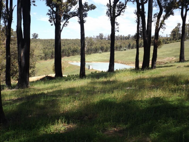 48 Flintoff Road, Bridgetown WA 6255