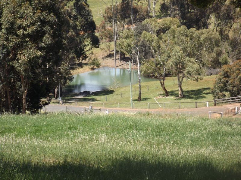 48 Flintoff Road, Bridgetown WA 6255