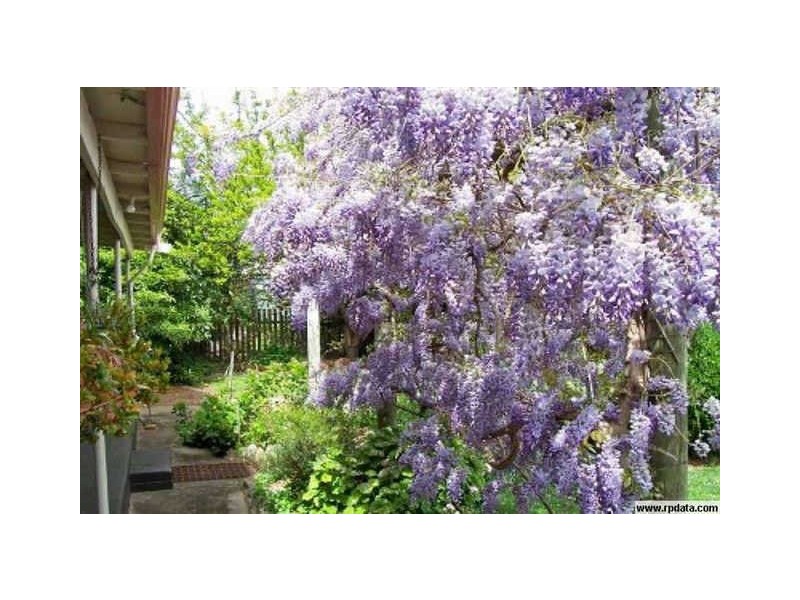 33 Jephson Street, Greenbushes WA 6254