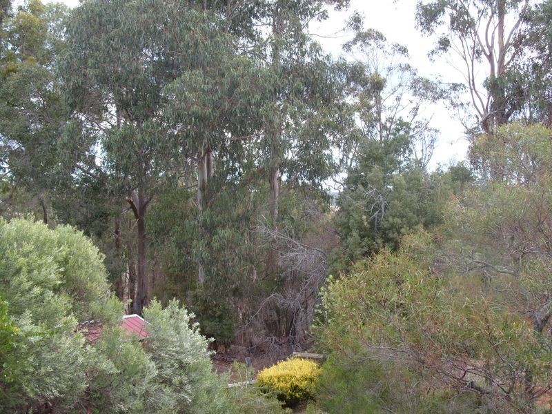 7A Rowan Close, Bridgetown WA 6255