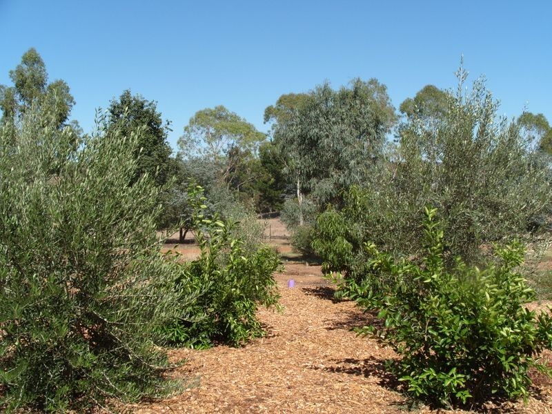 432 Ford Road, Bridgetown WA 6255