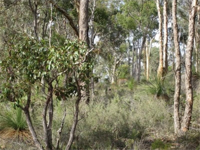 19 Fraser Street Kulikup, Boyup Brook WA 6244