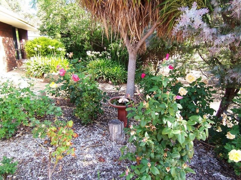 60 Williams Street, Boyup Brook WA 6244