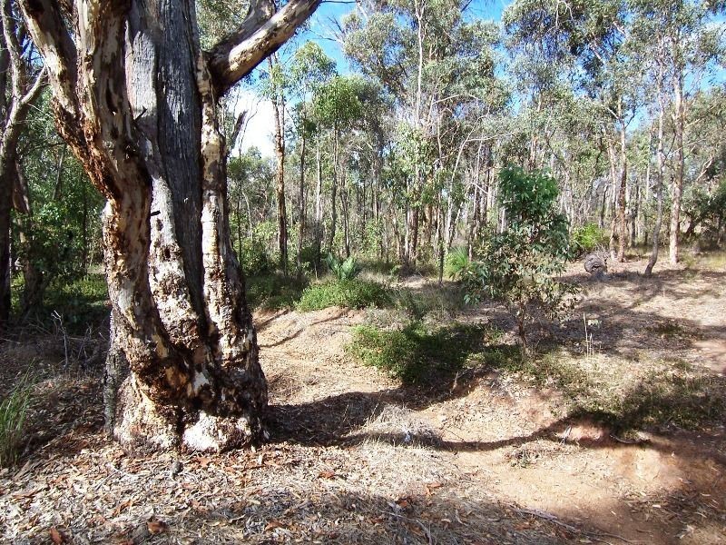 60 Williams Street, Boyup Brook WA 6244