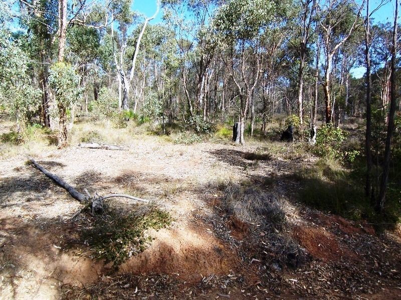 60 Williams Street, Boyup Brook WA 6244