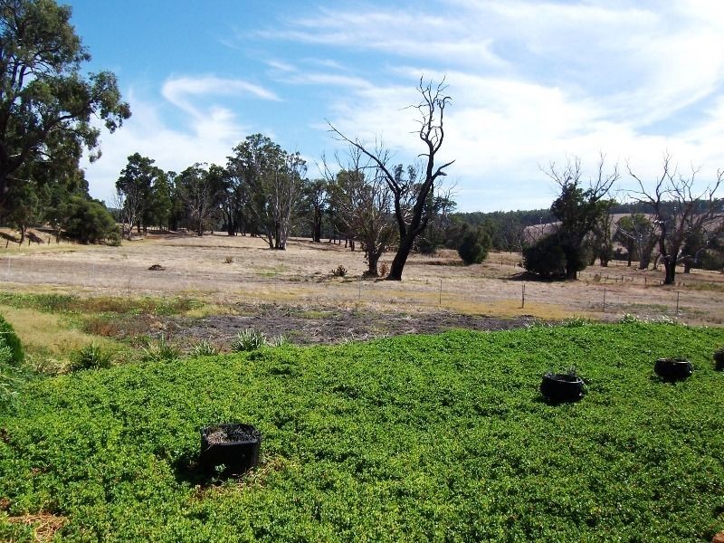 3019 Boyup Brook – Donnybrook Road, Mumballup WA 6225