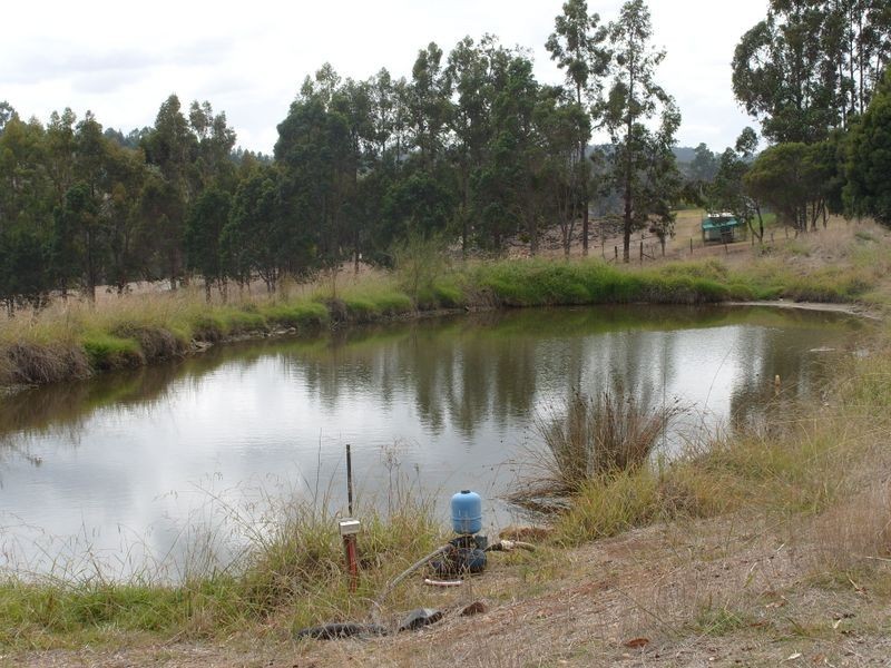 592 Bevan Road, Bridgetown WA 6255