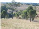 134 Golden Ash Rise, Bridgetown WA 6255
