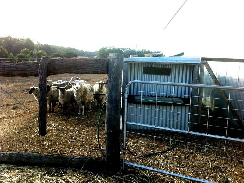 8492 Krsuls Road, Bridgetown WA 6255