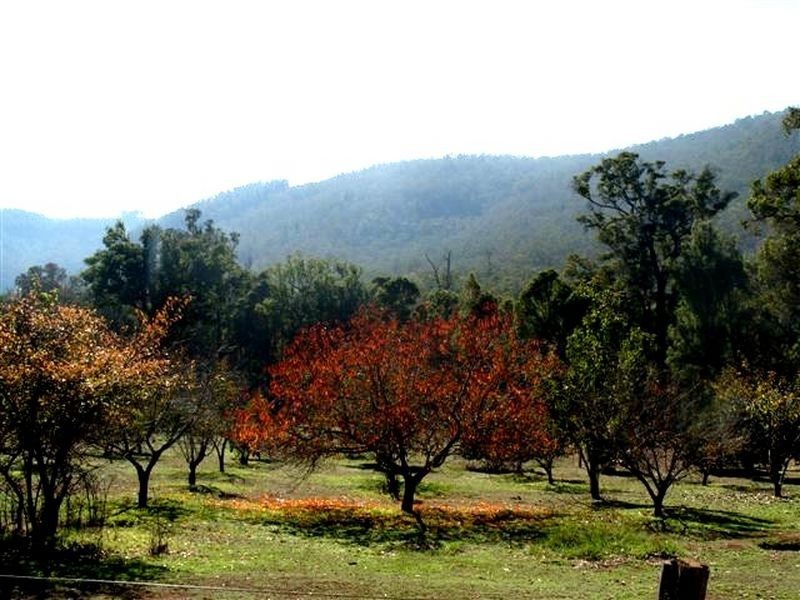 945 Southampton Road, Balingup WA 6253