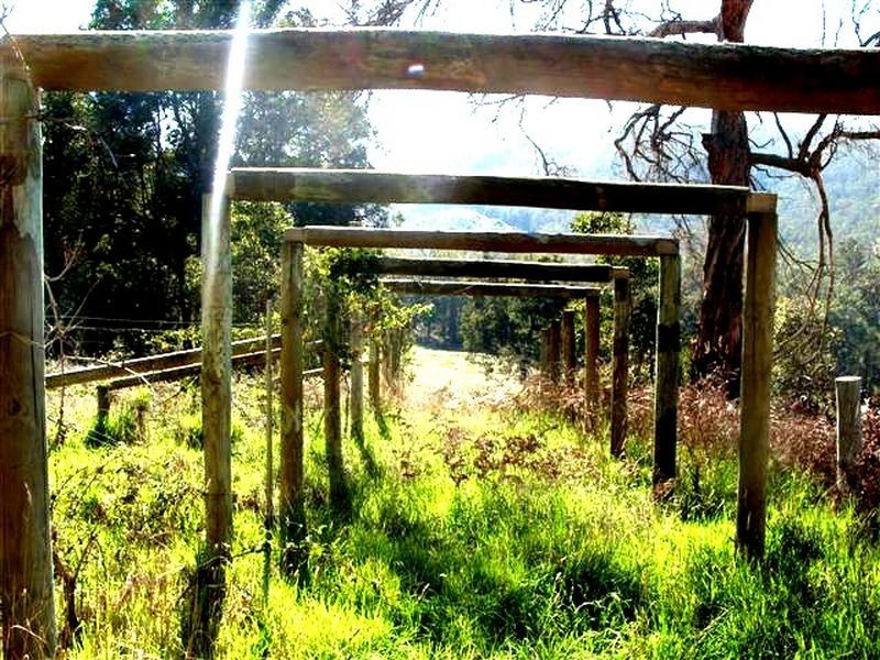 945 Southampton Road, Balingup WA 6253