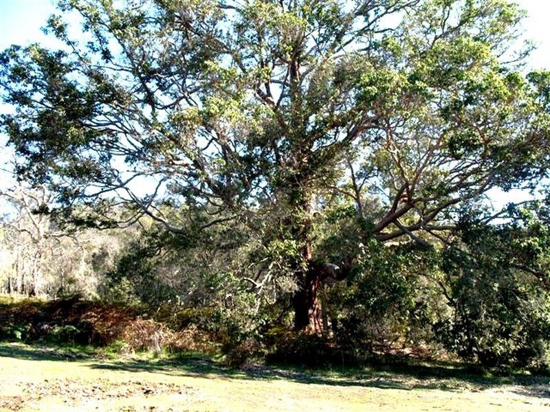 945 Southampton Road, Balingup WA 6253