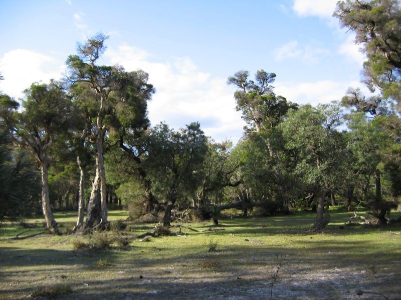 Lot 1 Cootayarup Road, Tonebridge WA 6244