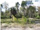 Lot 1 Cootayarup Road, Tonebridge WA 6244