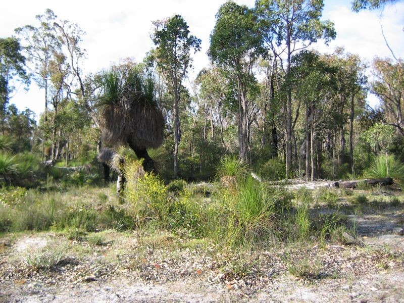 Lot 1 Cootayarup Road, Tonebridge WA 6244